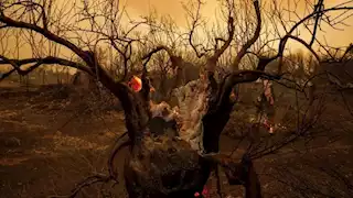 لمكافحة التغير المناخي.. تمويل 300 مليار دولار سنويا للبلدان النامية في ختام COP 29 