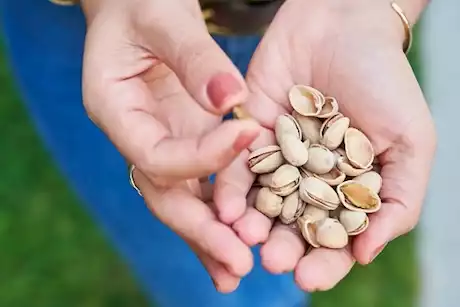 ماذا يحدث لأمعائك عند تناول الفستق كل ليلة؟