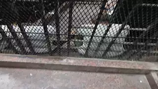 اليوم.. محاكمة 117 متهماً بخلية الهيكل الإداري