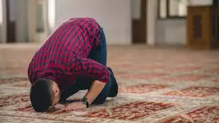 ما عدد ركعات النوافل وأوقاتها؟.. الإفتاء توضح 