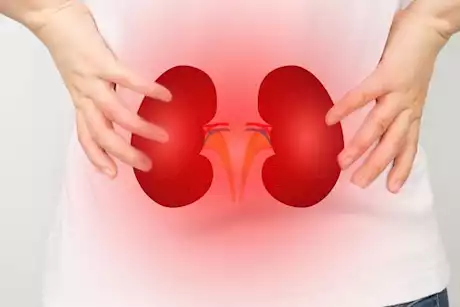 بعد أزمة تامر حسني الصحية.. أعراض أمراض الكلى وطرق الوقاية منها