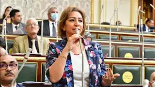 "قرار غير مسؤول" ..برلمانية تعلق على زيادة رسوم مستشفيات الصحة النفسية 900%