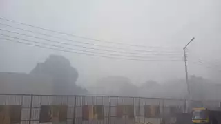 7 تعليمات مهمة للمواطنين.. بيان تحذيري من محافظة الإسكندرية بسبب الشبورة