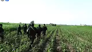 مصرع 3 عناصر إجرامية في تبادل إطلاق نار مع الشرطة بالقليوبية