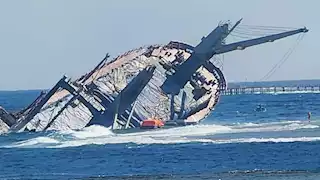 بالفيديو.. غرق سفينة محمّلة بآلاف الأغنام قبالة سواحل اليمن