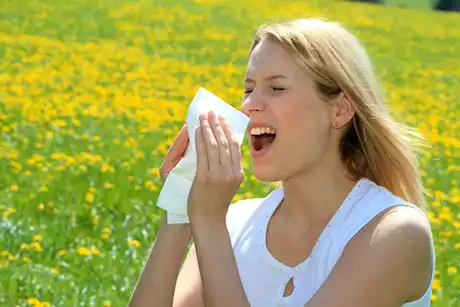 الحساسية أبرز أسباب العطس المتكرر.. واستشاري حميات: وسيلة شائعة لنقل العدوى