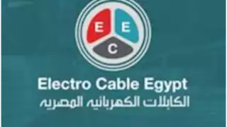 "الكابلات الكهربائية" تحقق أرباح بنحو 1.32 مليار جنيه خلال 2024
