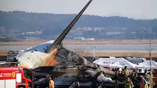 تفاصيل تحطم طائرة بكوريا الجنوبية ومصرع 174 من ركابها (صور+ فيديو)