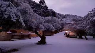 في مدن مصر التي تهاجمها الثلوج| هكذا تحمي سائل الردياتير من التجمد