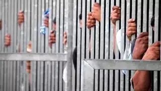 إحالة أوراق 4 متهمين بقتل طبيب التجمع الخامس إلى المفتي