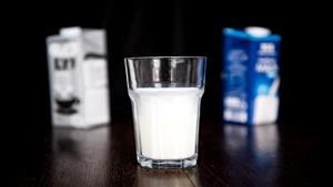 الحليب البديل.. حل لمشكلة انتفاخ البطن