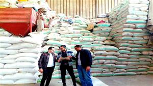 التحفظ على 85 طن أعلاف مجهولة المصدر داخل مصنع غير مرخص بالبحيرة 