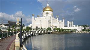 منح جامعية بكالريوس ودبلومة وماجستير عام للجامعات.. رابط التسجيل