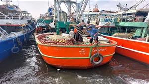 "بدأت بـ الذابح والبرد شد".. "العقارب" تضرب نشاط صيد الأسماك في السويس