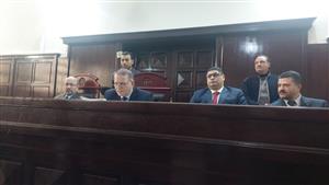 تأجيل محاكمة المتهمين بقتل سائق توك في الدقهلية لـ15 فبراير - فيديو