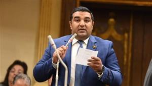 نائب يطالب باستئناف المبادرات التمويلية منخفضة التكلفة للقطاعات الإنتاجية