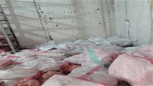 ضبط 3 أطنان دواجن ولحوم مفرومة فاسدة في القليوبية (صور)