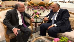 قبيل قمة مجموعة العشرين.. شكري ونظيره البرازيلي يناقشان سبل تعزيز التعاون المشترك