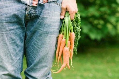 هل الجزر يزيد هرمون التستوستيرون؟