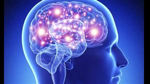 اختراق علمي.. اكتشاف إشارة جديدة في المخ البشري