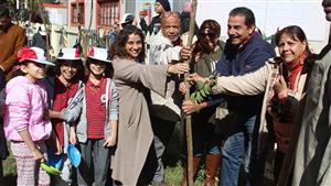 "البيئة" تشارك في حملة لزراعة 300 شجرة بعدد من مدارس القاهرة