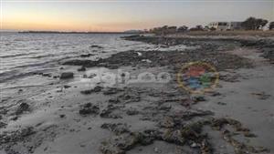 صور وفيديو- انحسار مياه البحر بطور سيناء وظهور الشعاب المرجانية