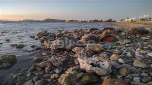 بعد ظهور الشعاب المرجانية.. ما سبب انحسار مياه البحر بجنوب سيناء؟