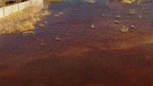 "مدينة منكوبة".. مياه حمراء غامضة تغمر زليتن الليبية