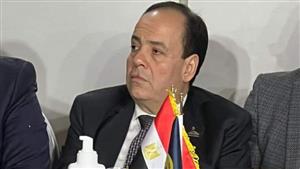 "حماة الوطن": مصر تحمي الثوابت العربية وإعلان نيويورك صفعة للاحتلال