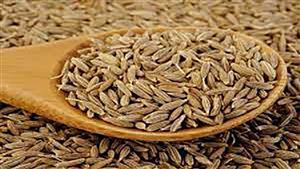 هل تناول الكمون على الريق يزيد معدل الحرق؟