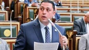 طلب إحاطة بشأن تحصينات الحمى القلاعية و"التأمين على الماشية" ومشروع البتلو بكفر الشيخ