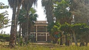 استراحة الملك فاروق.. تحفة معمارية وسط زراعات بني سويف (فيديو وصور)