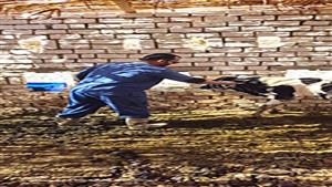 بالصور- انطلاق الحملة القومية ضد الحمى القلاعية في الوادي الجديد