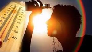 الحرارة وصلت 47 درجة.. الوادي الجديد تعلن حالة الطوارئ