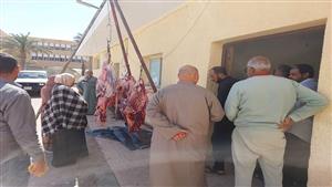 الكيلو بـ 380 جنيها.. طرح لحوم بأسعار مخفضة للمواطنين بجنوب سيناء  