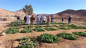 رئيس مركز البحوث الزراعية يتفقد 6 مواقع بسانت كاترين تمهيدًا لزراعة بنجر السكر