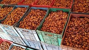 ماذا يحدث للجسم عند تناول البلح بالسوس عن طريق الخطأ؟