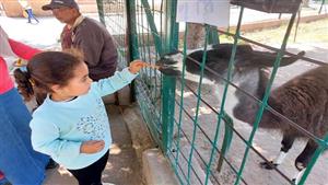 وزير الزراعة يوضح حقيقة أسعار تذاكر حديقة الحيوان.. وتجربة عالمية في انتظار الزوار