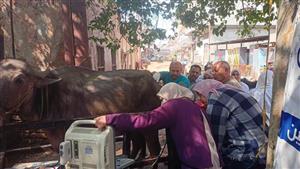 "الزراعة" تنظم قافلة بيطرية مجانية لمحافظة البحيرة في إطار مبادرة حياة كريمة