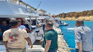 جنوح سفينة دولية بخليج العقبة.. وإجراء عاجل من البيئة لمنع أي تسريب - صور