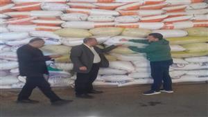 بالصور- توريد 80 طنًا من محصول القمح للشون والصوامع في بورسعيد 