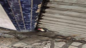 لترشيد استهلاك الكهرباء.. تحرير 148 مخالفة عدم التزام بقرار الغلق للمحلات