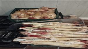 قبل عيد الأضحى.. ضبط 10.5 طن لحوم وكبدة فاسدة بالقاهرة