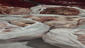 فاسدة و"صالحة مخالفة للمواصفات".. ضبط 29 طن لحوم وكبدة وبرجر وأسماك بالقاهرة