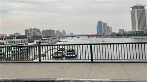  الأرصاد: غطاء سحابي ونشاط للرياح وأتربة على القاهرة الكبرى 