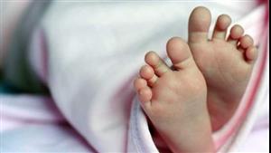 "الهزار قلب بدم".. شاب يطعن صديقه في رقبته بحدائق الأهرام