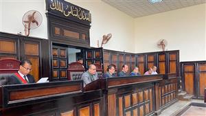 بسبب عدم إنجابه أطفال.. الإعدام لمتهم قتل نجل جاره في أسيوط 