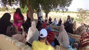 بالصور- إطلاق 12 مدرسة  حقلية للإنتاج الحيواني والداجني بجنوب سيناء