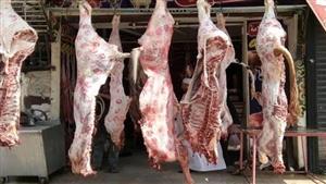 شعبة القصابين: توقعات بانخفاض أسعار اللحوم خلال الفترة المقبلة