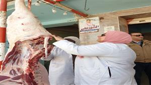 "لانشون ومفروم".. تفاصيل ضبط طن لحوم ومصنعات فاسدة بالشرقية- صور